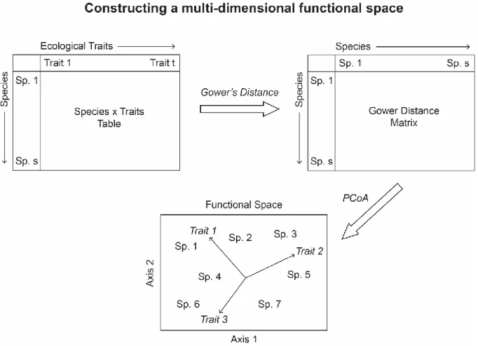 Figure  2  |  Conceptual  diagram  showing  the  procedure  for  constructing  a  multi- multi-dimensional functional space