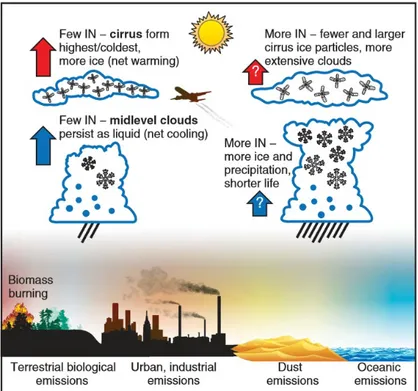 Figure 1.5: Schematic diagram of the eﬀect of ice nuclei from various possible aerosol sources on mid-level precipitating clouds and cirrus ice clouds
