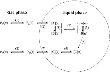 Figure I-17 Physical and chemical processes driving the mass transfer of species A between the gas phase and the liquid phase  (adapted from Schwartz, 1986)