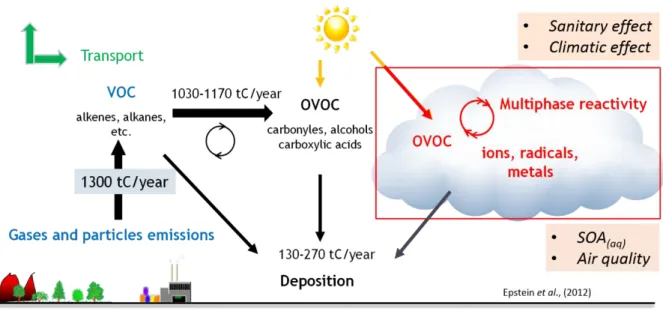Figure I-19 Scientific context: VOC in the atmosphere and their climate and sanitary effects