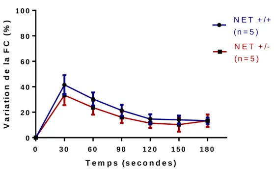 Figure 13 : Variation de la fréquence cardiaque après injection de dobutamine chez  les souris NET