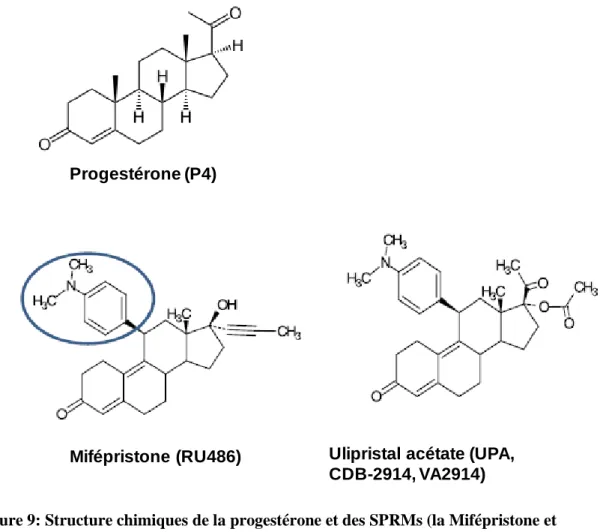 Figure 9: Structure chimiques de la progestérone et des SPRMs (la Mifépristone et  l’Ulipristal acétate)  (Chabbert-Buffet et al., 2012)