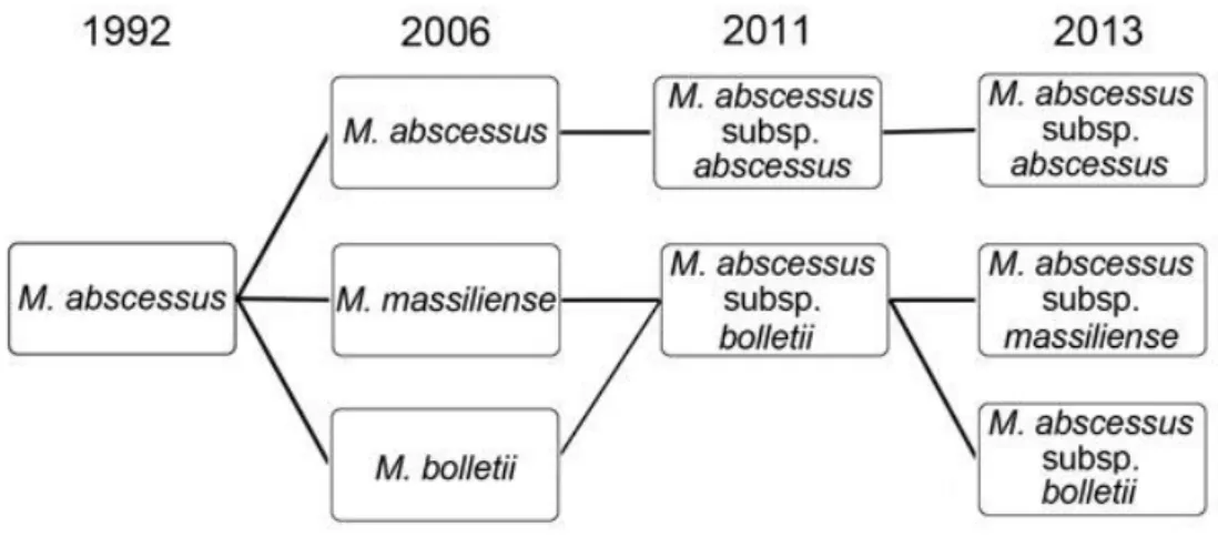 Figure II: Serial Changes in the nomenclature and taxonomic classification of MABC  (Lee et al., 2015) 