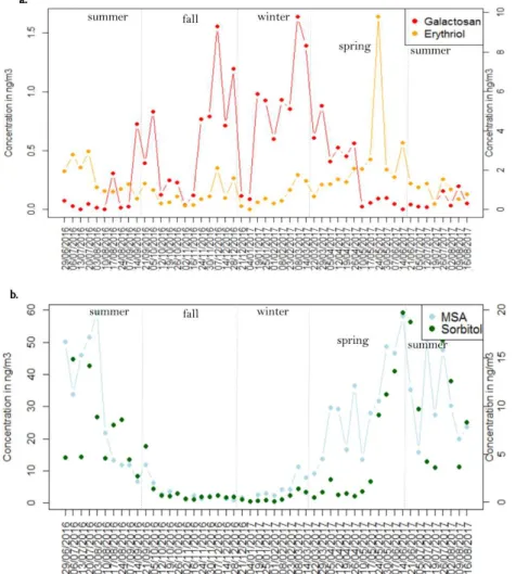 Figure 6: Temporal evolution of the concentration of chemical species over the year. 