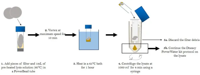 Figure 1: Summary of the modified DNA extraction protocol developed for quartz filters