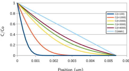 Figure 3.3: Evolution in time of concentration through the bar for the case 2 of diffusion.