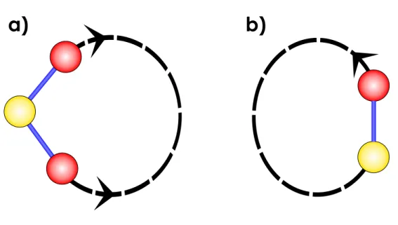 Fig. 1.15 Les deux manières les plus courantes de décompte d’anneaux. En (a), l’initialisa- l’initialisa-tion de King, en (b) l’initialisal’initialisa-tion de Guttman.