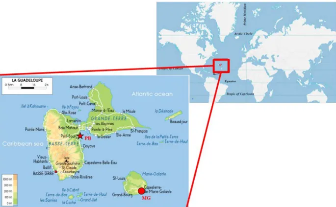Figure 14: Study area showing the sampled sites in Guadeloupe (France): PB (red star) indicates Petit-Bourg  site located on the main island and MG (red circle) indicates Marie-Galante site located on the second island 