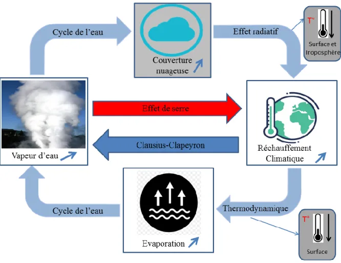 Figure 1.2. Schéma illustrant les actions et rétro-actions du cycle de l'eau sur le climat.