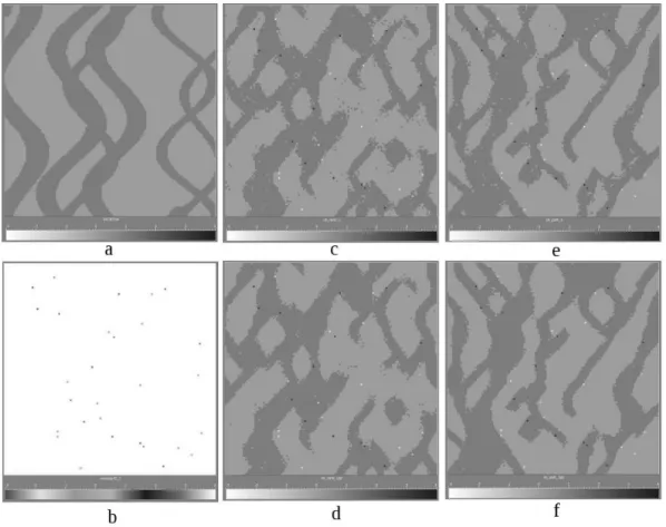 Figure 3.5 – R´esultats de l’algorithme d’´echantillonnage direct conditionn´es par des donn´ees de puits