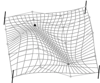 Fig. 1 Bi-cubic NURBS surface with weight w = 10 at the black points and w = 1 at the grey points