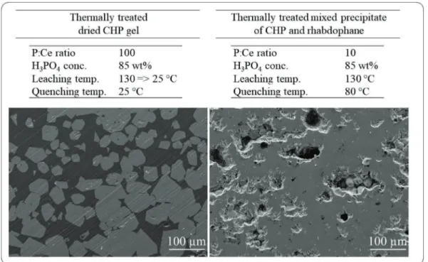 Figure 17: Polished section of the dried CHP gel (left) and the mixed precipitate of CHP and  rhabdophane (right) after a thermal treatment at 1450 °C for 24 h