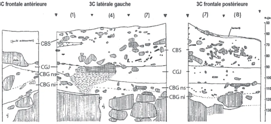 Fig. 12: Grotte de Bignalats, coupe stratigraphique carré 3C avec la localisation dans la coupe des niveaux CBS, CGJ, CBGnsetCBGni(d’aprèsMarsan,1986).
