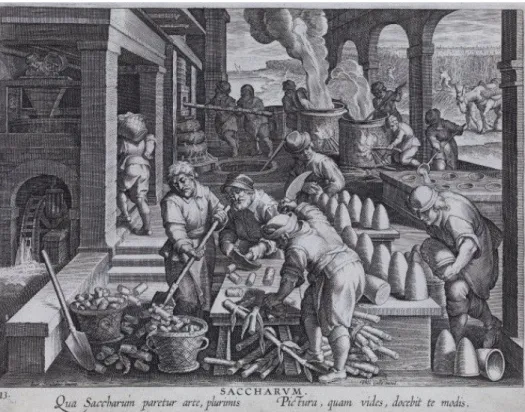 Fig. 3 : Stradanus (d'après), Nova Reperta, &#34;Saccharum&#34;, Pl. 13, v. 1600, 22x28cm