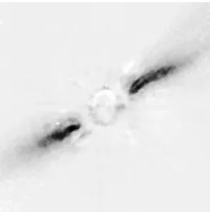 Fig. 1.5 – Image de β-Pictoris, prise avec le t´elescope de 3,6 m de l’ESO (La Silla), dans la bande J