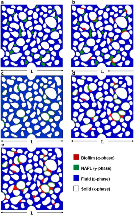 Fig. 3 Unit cells used for computations: non-wetting cases (unit cell a: without biofilm—unit cell b: after bacteria colonization) and wetting cases (unit cell c: without biofilm—unit cells (d) and (e): after bacteria colonization)