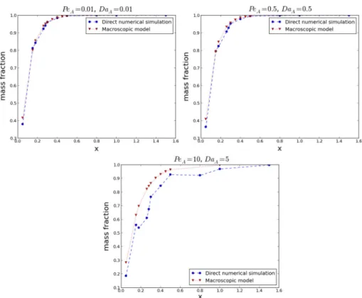 Fig. 12 Comparison of spatial profiles of concentration between DNS and the macroscopic model for a complex 2D geometry
