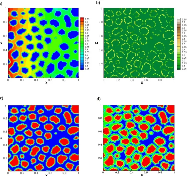Fig. 11. Simulation results for Pe  =  1  , Da  =  0  .  01  . (a) substrate concentration ﬁeld at t   =  100  , (b) biomass concentration ﬁeld at t   =  100  , (c) geometry of the medium at  t  =  100  ,  (d) geometry  of the medium  at  t  =  9800  