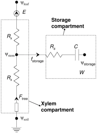 Fig. 1. Electrical analogon diagram of the water storage model. Xylem and storage compart- compart-ments are shown