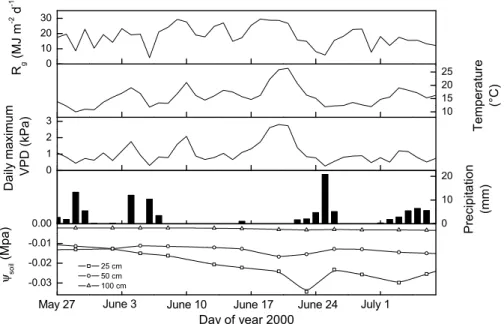Fig. 2. Climatic conditions during the studied period (27 May–7 July 2000): daily incoming solar radiation (R g ), mean daily temperature, daily maximum vapour pressure deficit (VPD), precipitation and soil water potential (ψ soil ).