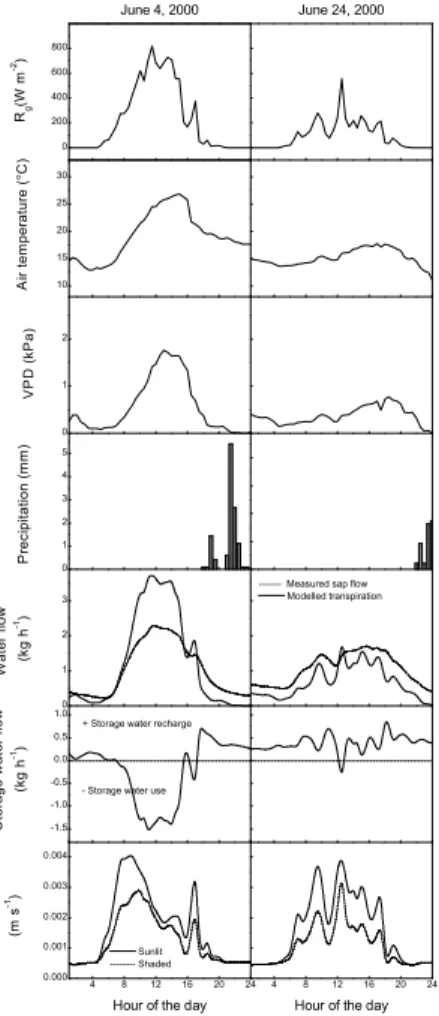 Fig. 7. Comparison of diurnal patterns during two days (4 June and 24 June 2000): climate, water flow and modeled stomatal conductance (g s ) of pine #23