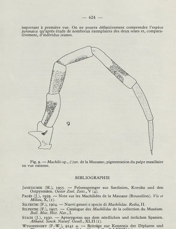 Fig.   9.  — Machilis sp.,  &lt;$ juv.  de la Massane; pigmentation du palpe maxillaire  en  vue  externe