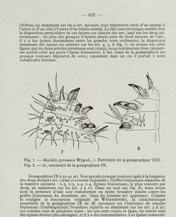 Fig.   7.   —  Machilis pyrenaica  Wygod.,  $.  Extrémité  de  la gonapophyse VIII. 