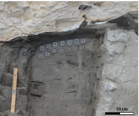 Figure 5. Aluminum sample boxes pushed into the glaciolacustrine mud at Møns Klint, 998  immediately underlying the Upper Cretaceous chalk that has been thrust over it from left to 999  right