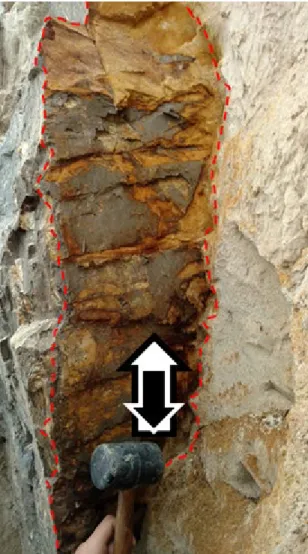 Figure 6. View normal to the surface of a thrust fault at the base of sheet GR10 in the Grønne 1017 