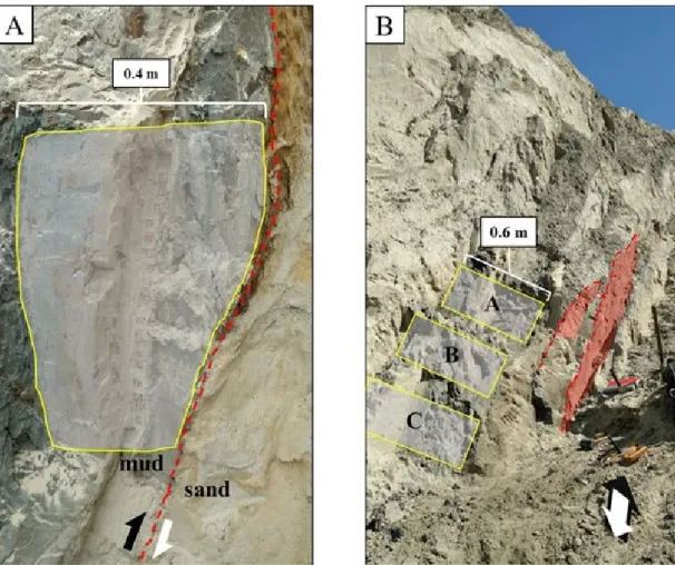 Figure 7. (A) Mud and sand of the Lønstrup Klint Formation thrusted along a slickensided fault 1031 