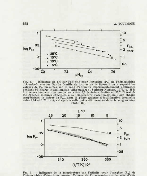 FIG.   4.  —  Influence  de  pH  sur  l'affinité  pour  l'oxygène  (P B0 )  de  l'hémoglobine  d'Arenicola  marina