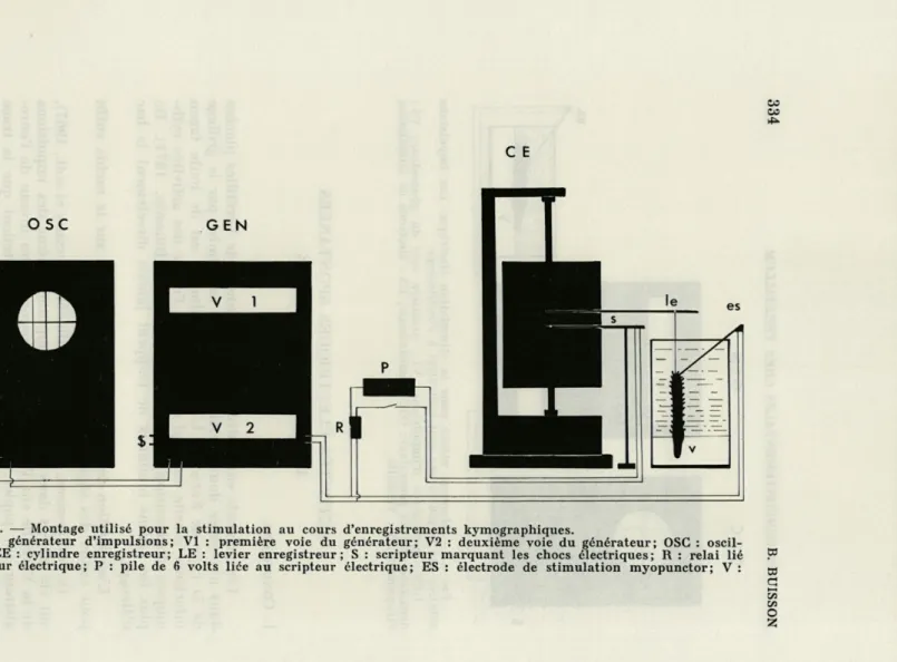FIG.  4.   —  Montage  utilisé  pour  la  stimulation  au  cours  d'enregistrements  kymographiques