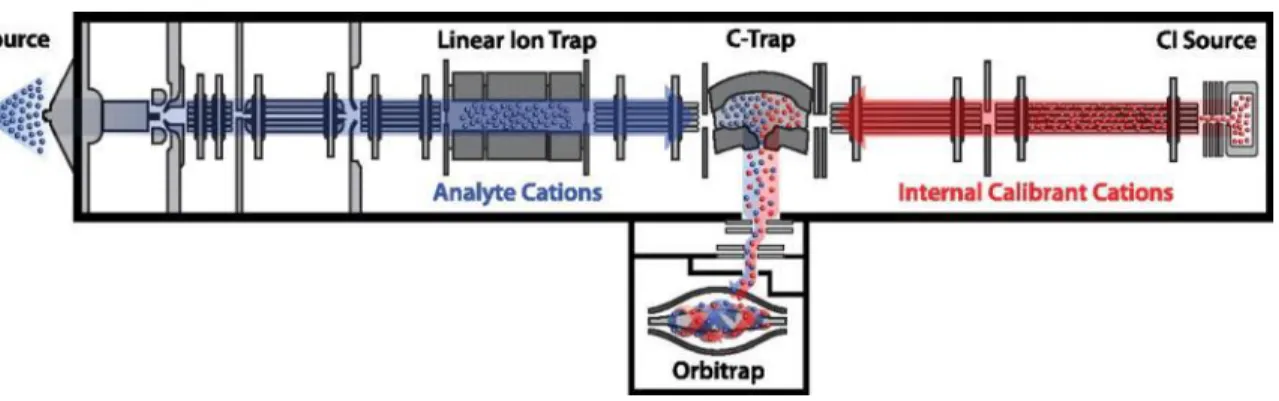 Figure 9. LTQ-orbitrap  mass spectrometer diagram. Samples are ionized and throw through  the linear ion trap where they will be separated and launched through the Orbitrap