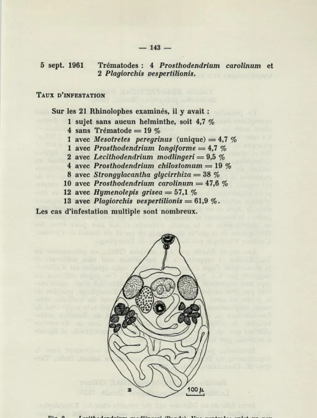 Fig.  2.  —  Lecithodendrium  modlingeri  (Pande).  Vue  ventrale;  sujet  un  peu  comprimé