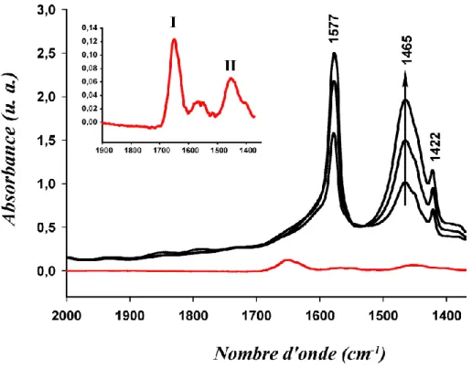 Figure 6 : Spectres infrarouges de la SAB à 10 mg.mL -1  (rouge) et du [MMIm][Me 2 PO 4 ] (noir) à 30, 50 et 70 %  (v/v) dans du D 2 O mesurés entre 1350 et 200 cm -1 