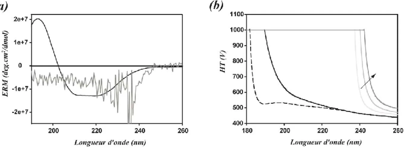 Figure 7 : Spectres de dichroïsme circulaire de la FDH en présence de [MMIm][Me 2 PO 4 ] entre 180 et 260 nm