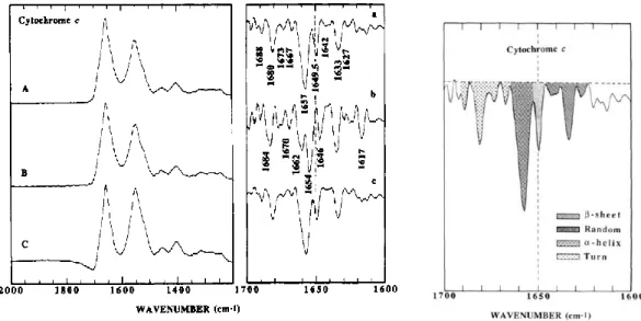 Figure 2 : Spectres infrarouges du cytochrome c de cœur de cheval en solution aqueuse à 1% de  NaCl corrigé  selon différents critères