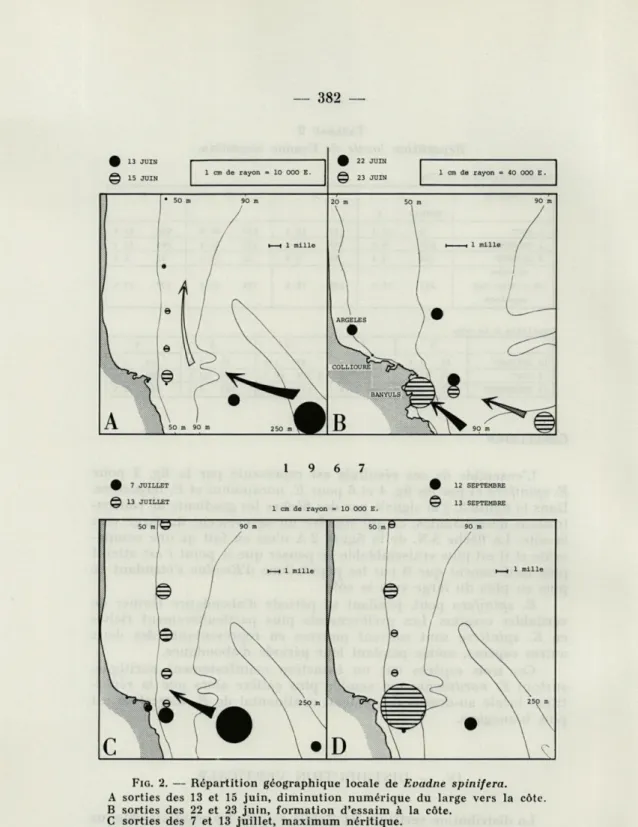 FIG .  2.  —  Répartition  géographique  locale  de  Evadne  spinifera. 