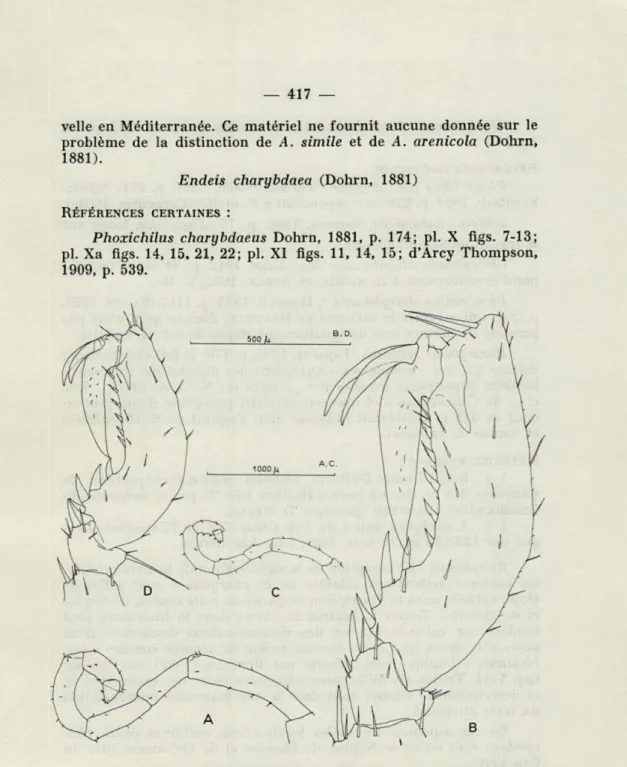 FIG.  1.   —  A-B,  Endeis  charybdaea  (Dohrn,   1881),   3,  du  rech  Lacaze-Duthiers  :  A,  ovigère;  B,  segments  distaux  de   P4