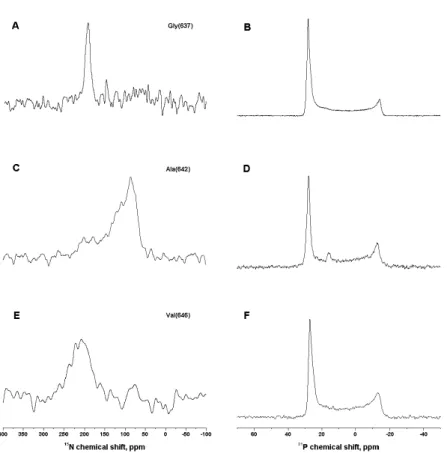 Figure 25 : Proton-decoupled 15 N and 31 P spectra of APP_TM 4 K labeled with