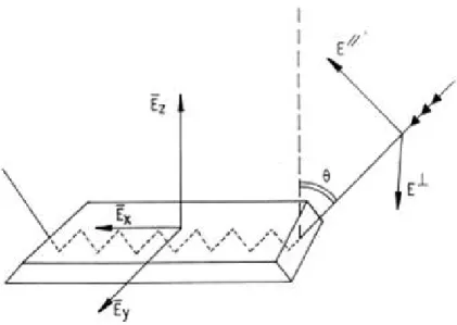 Figure 8 : Schematic representation of the internal reflection element (IRE) and of the light pathway