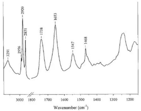 Figure 10 : An example of FTIR spectrum of a membrane protein in lipids.