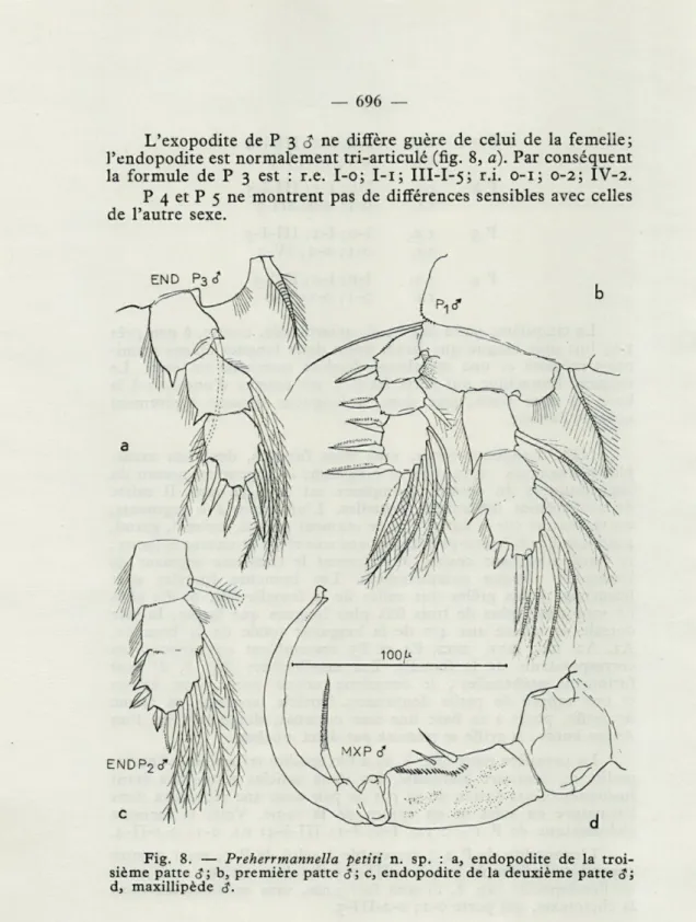 Fig.  8.  —   Preherrmannella  petiti   n.  sp.  :  a,  endopodite  de  la  troi- troi-sième  patte   é;  b,   première  patte   g;   c,  endopodite  de  la  deuxième  patte   3; 