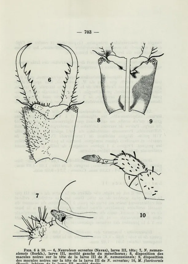 FIGS .  6  à  10.  —■  6,  Neuroleon  ocreatus  (Navas),  larve   III,   tête;  7,  N