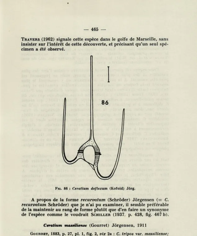 FIG.  86  :   Ceratium  deflexum  (Kofoid)  Jôrg. 