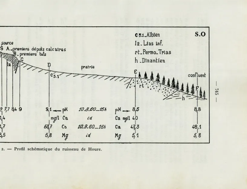 Fig.  2.  —  Profil  schématique  du  ruisseau  de  Houre. 