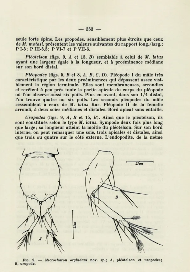 FIG.   9.  —  Microcharon  orghidani  nov.  sp.;  4,  pléotelson  et  uropodes; 