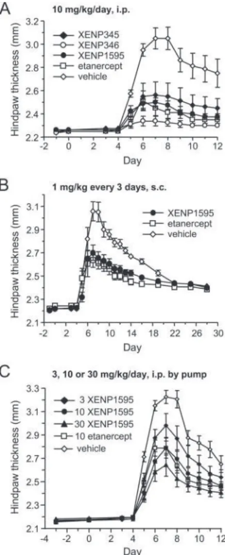 Table II. Inhibition of TNF-induced IL-8 release in human whole blood by anti-TNF biologics Donor IC 50 (ng/ml)5129513151325133 5134 Mean 6 SD 3 ng/ml TNF XENP1595 15.5 6.8 17.1 11.8 11.5 12.5 6 4.0 Etanercept 13.7 10.9 10.7 9.7 9.1 10.8 6 1.8 Adalimumab 1