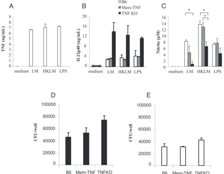 Figure 1. Impaired soluble TNF but normal IL-12p40, nitrite production, and killing of LM by macrophages from mem-TNF mice