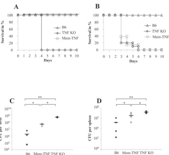 Figure 2. Enhanced control of LM infection in mem-TNF mice compared to TNF-deficient mice